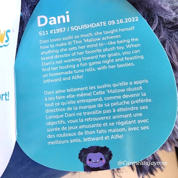 DANI 🐾 ☆FTM☆ Blue Big Foot Original Squishmallow by Kelly Toy NWT - Picture 4 of 7